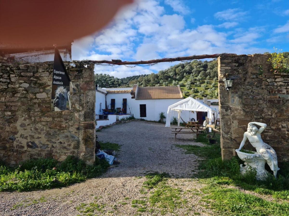 Appartamento Experience Alpacas In Andalucia Cordova Esterno foto