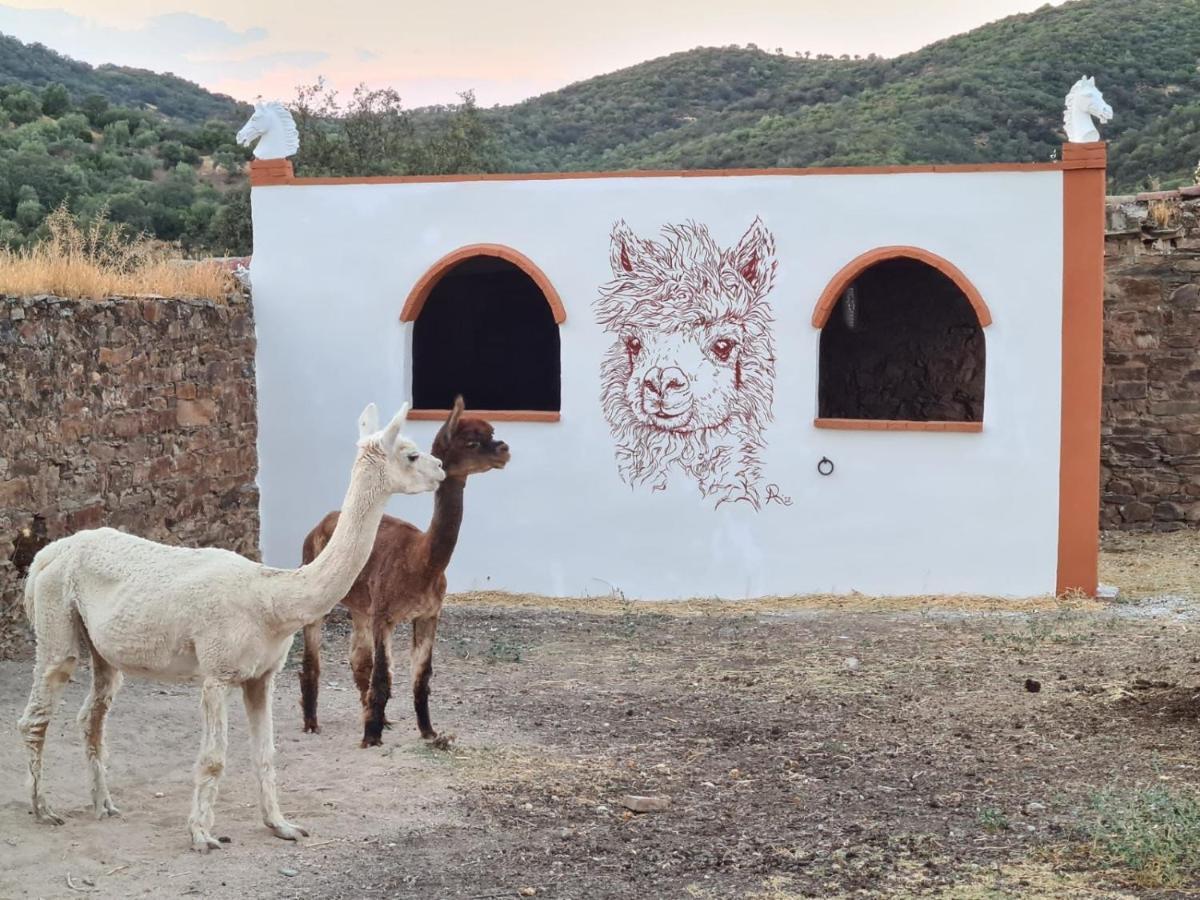 Appartamento Experience Alpacas In Andalucia Cordova Esterno foto
